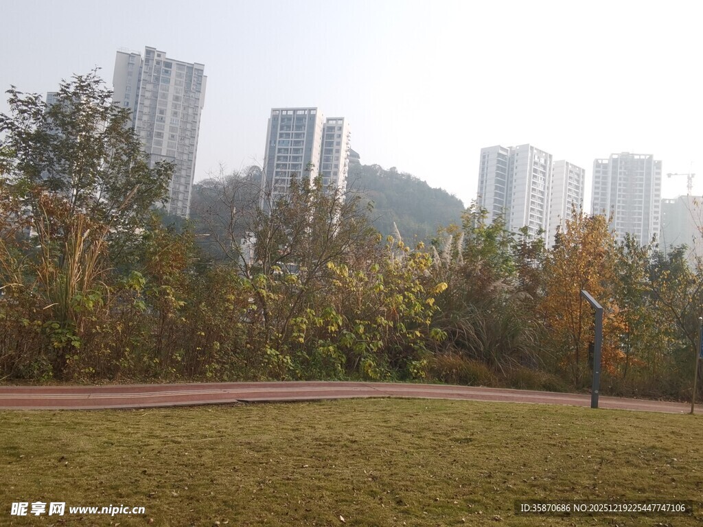 城市公园秋日景致