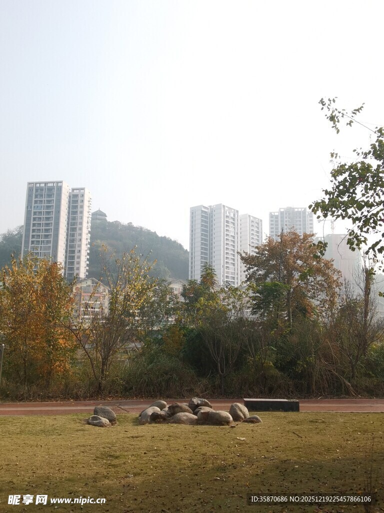 城市草地旁的休闲场景