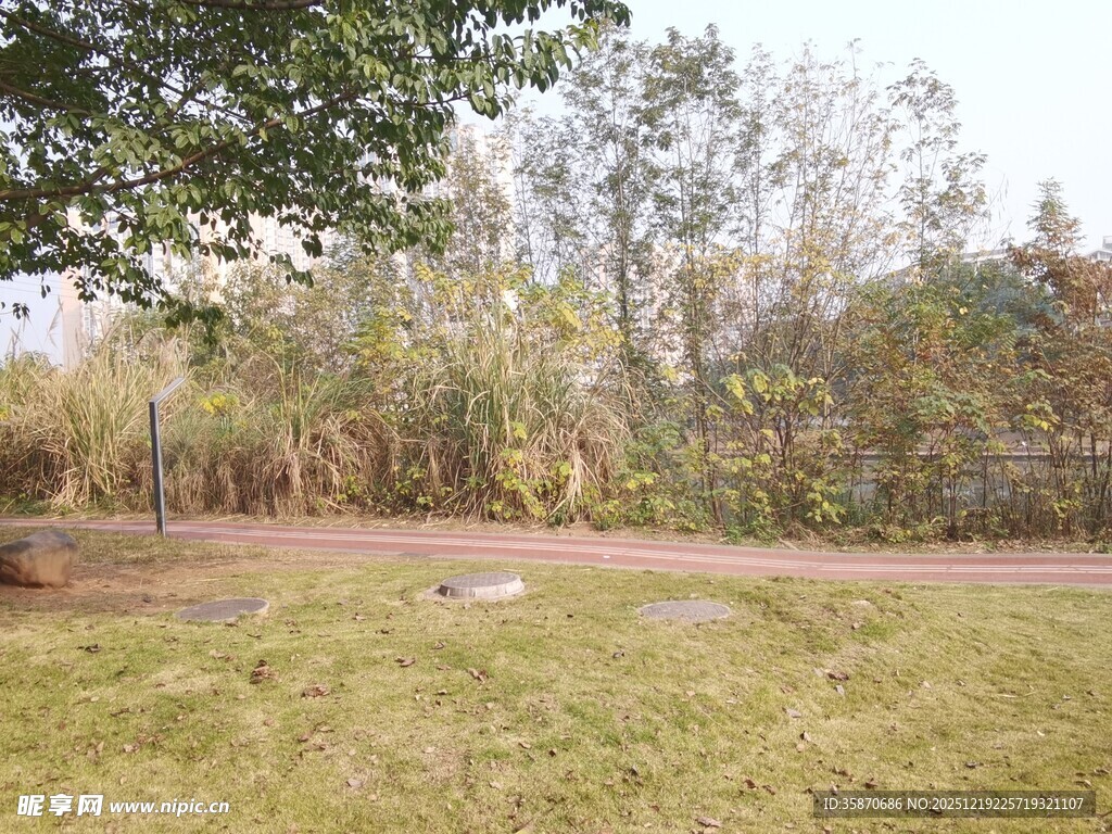 户外开阔草地与树林景观