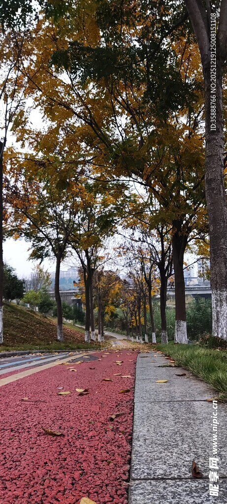 秋日红叶铺就的静谧小路