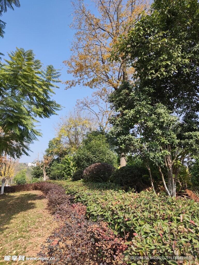 秋日林间小道景观