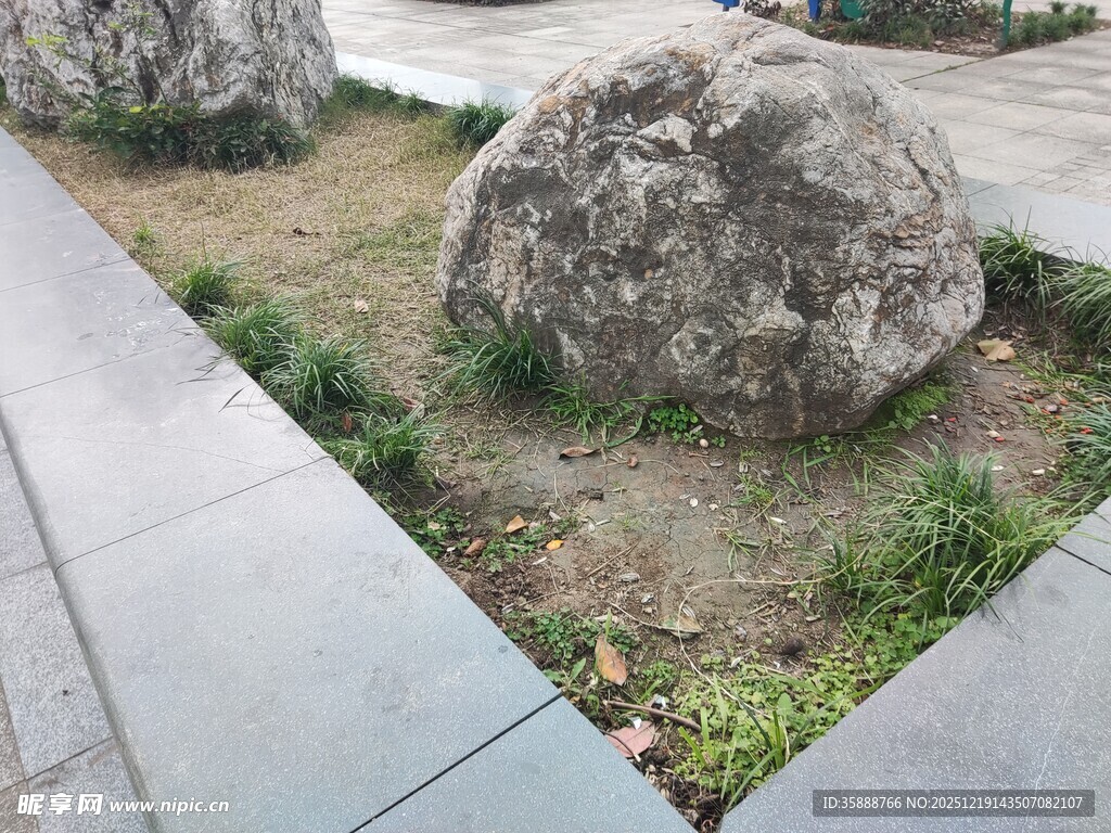 庭院中的景观石