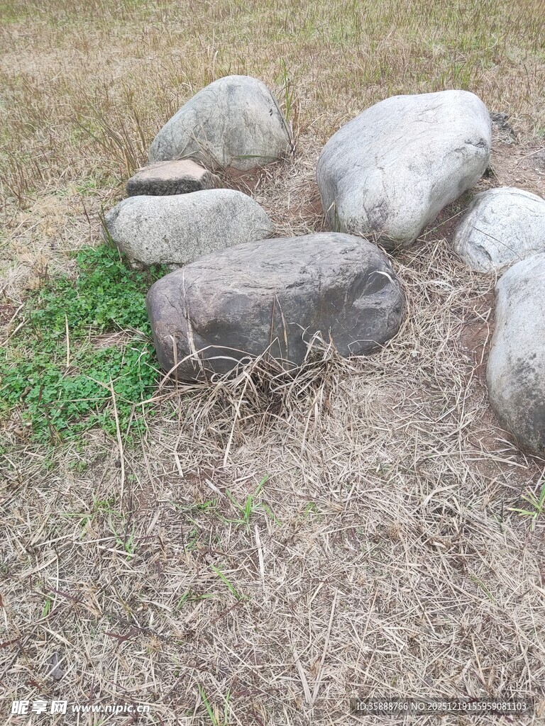 草地上的几块灰色石头