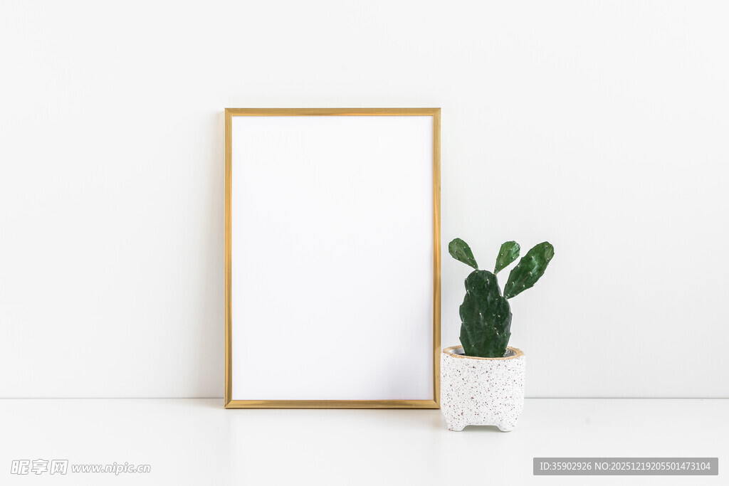 简约画框与绿植静物组合