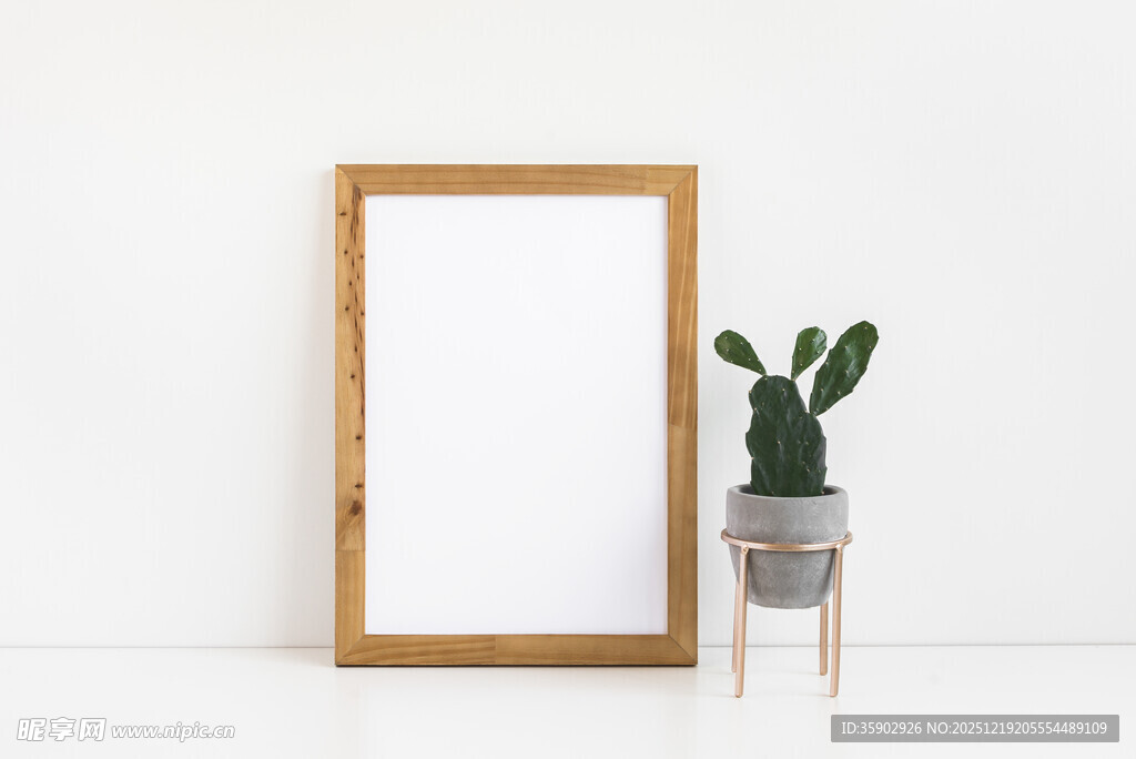 木框旁的仙人掌与空白画框