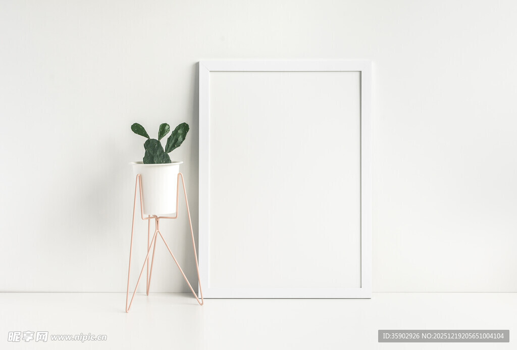 简约白框旁的绿植小景