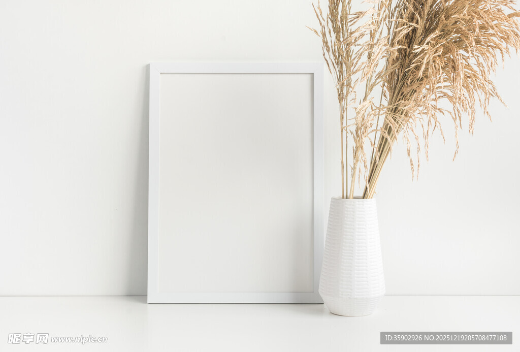 简约白墙旁的画框与干花