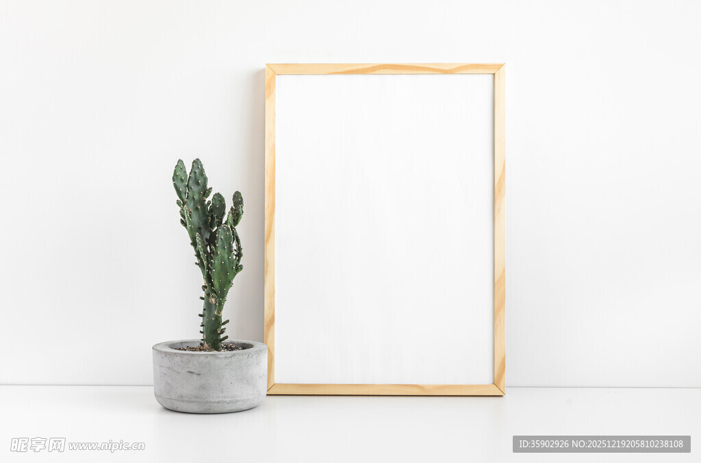简约画框旁的仙人掌摆件