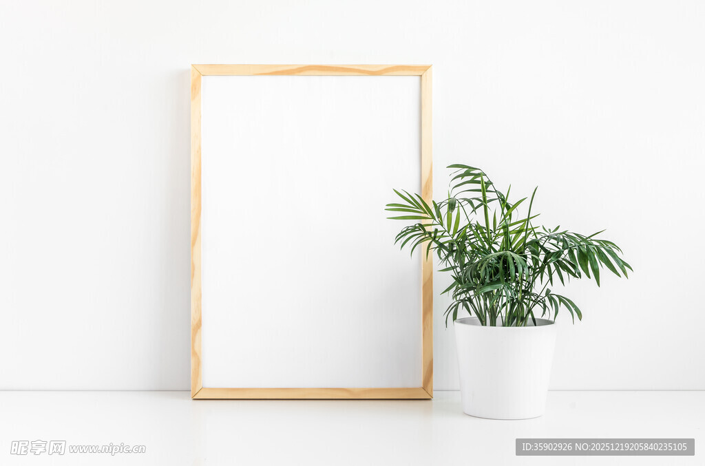 简约画框旁的绿植摆件