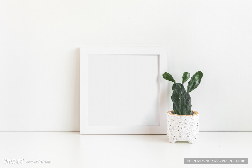 简约白框旁的仙人掌盆栽