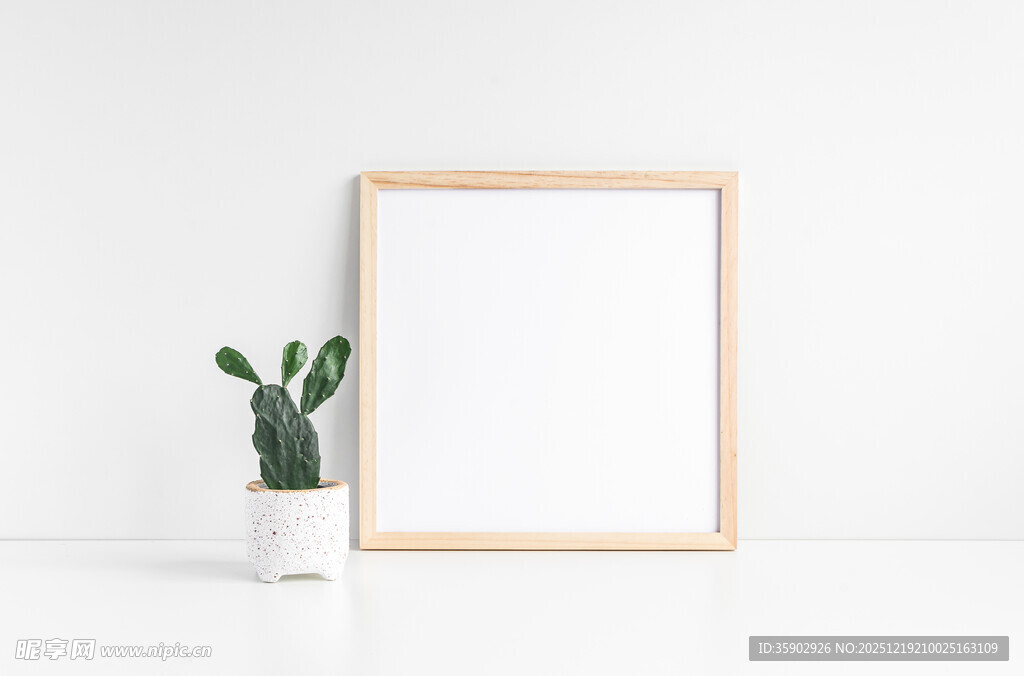 空白相框与绿植摆件