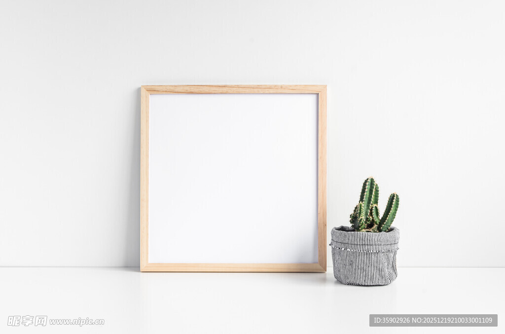 简约相框与仙人掌摆件