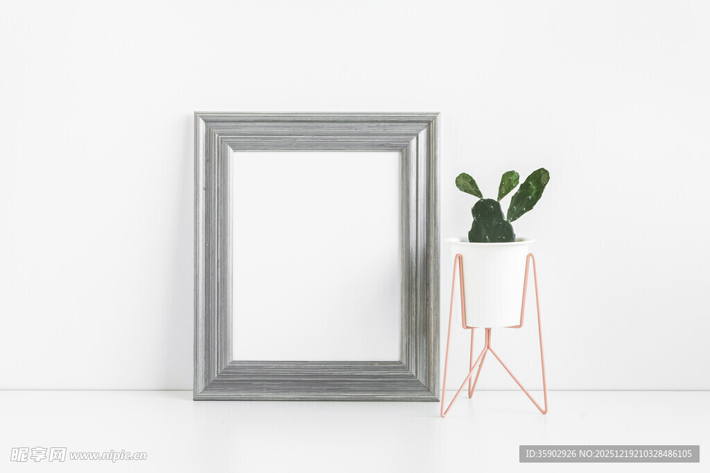 简约相框旁的绿植摆件