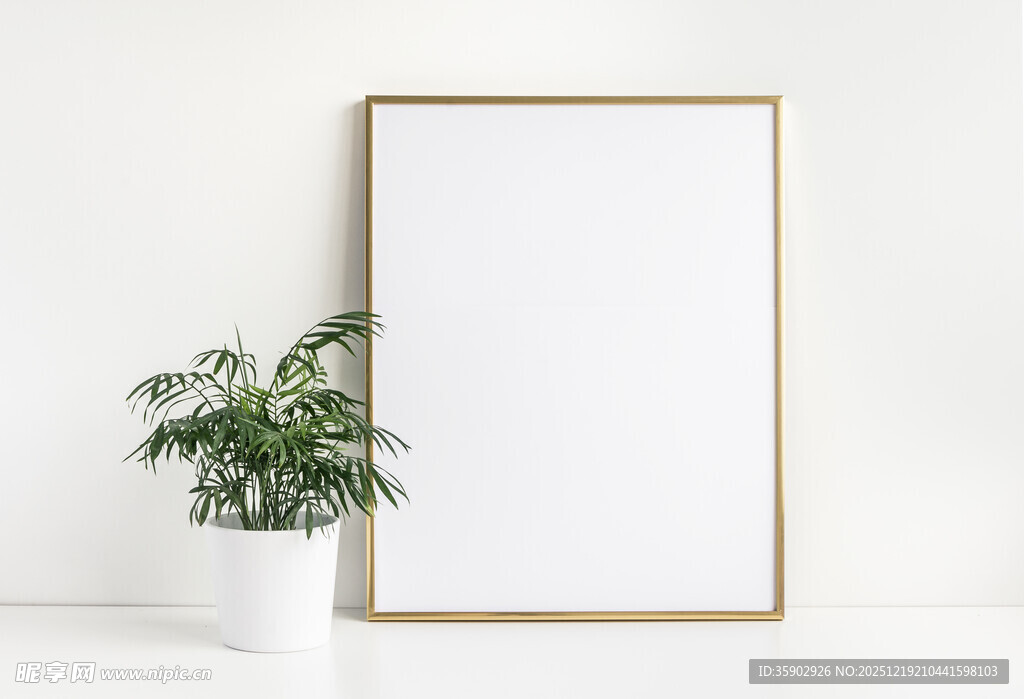 空白画框旁的绿植摆件