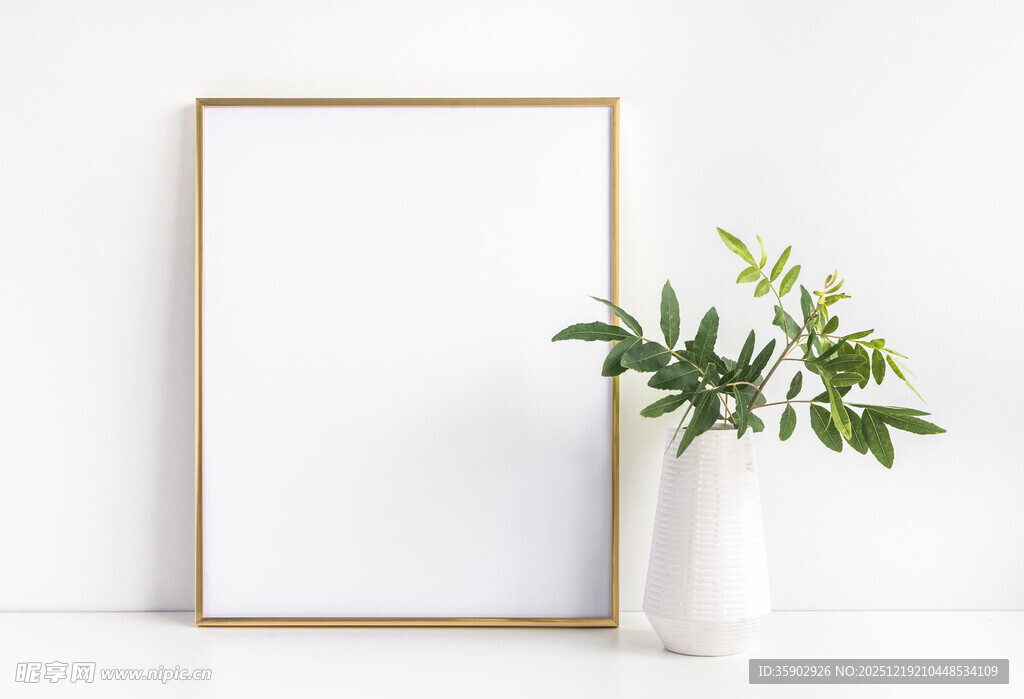 简约画框与绿植装饰场景
