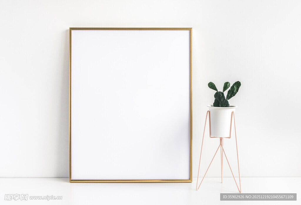 简约画框与绿植装饰场景