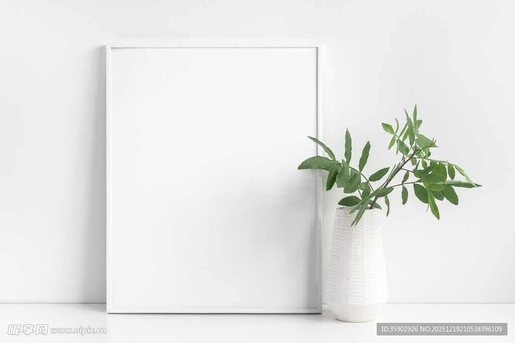 简约白框旁的绿植花瓶