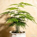 公司企业文化墙