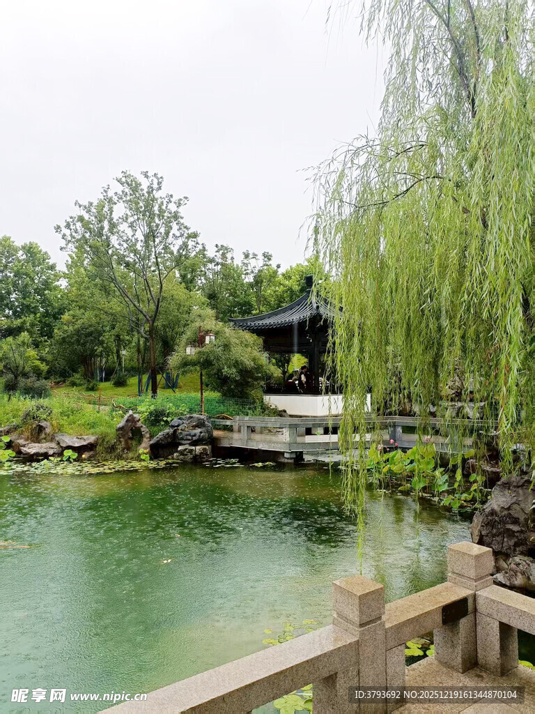 江南园林湖畔美景