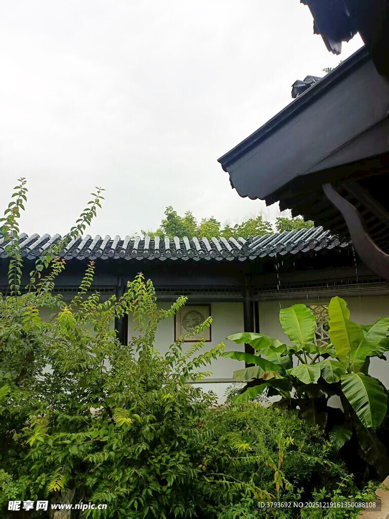 中式屋顶旁的繁茂绿植