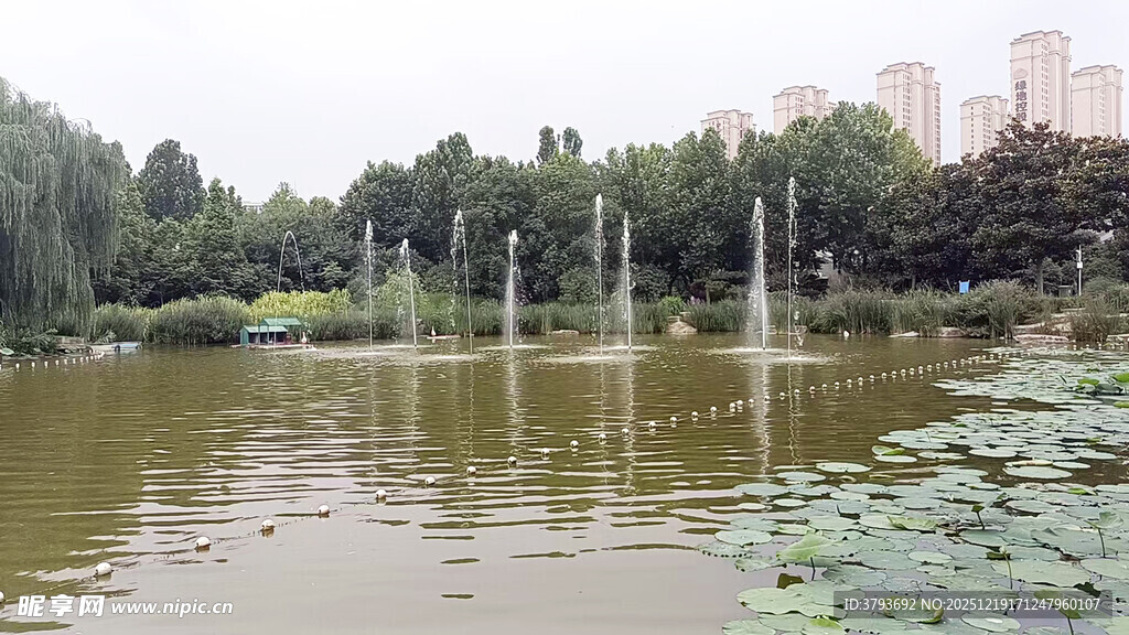 湖畔喷泉景观 绿意盎然