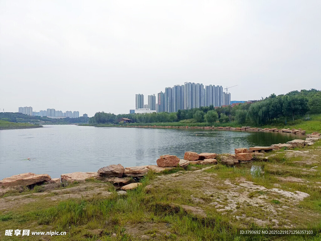 湖畔风光 近岸草地与远处高楼