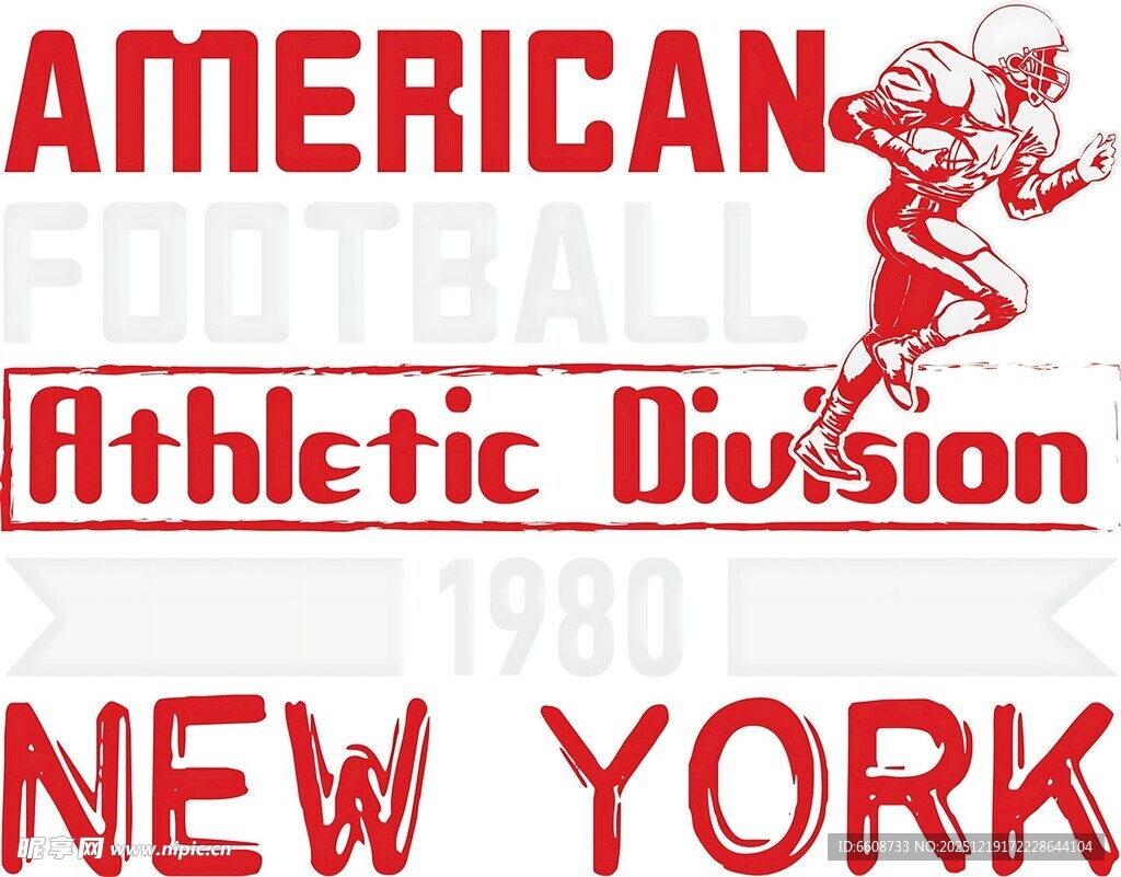 纽约美式橄榄球竞技分区