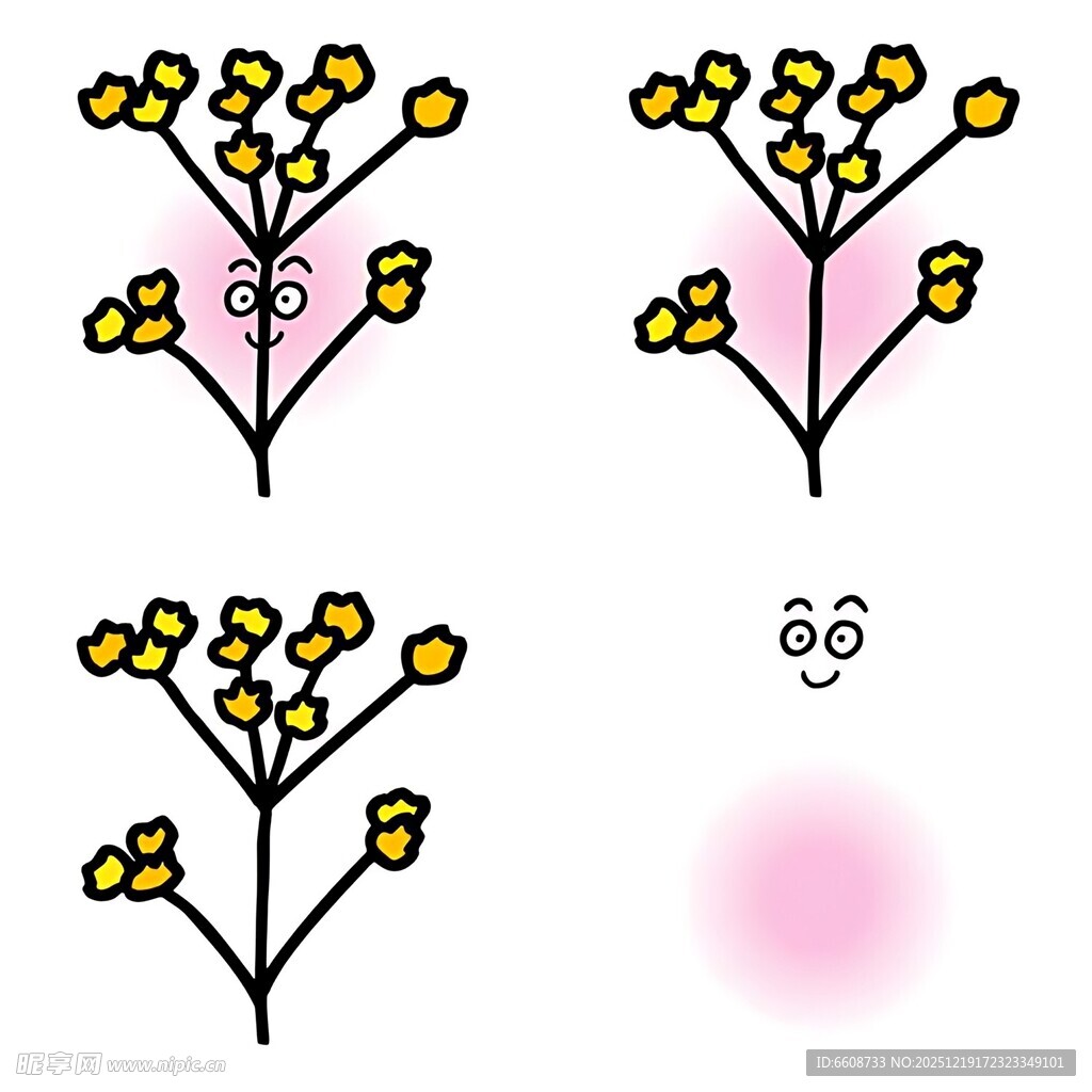 花朵生长过程图示