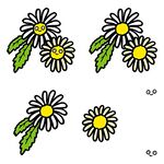 手绘雏菊图案设计