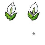 简约手绘百合花图案设计