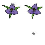 两朵紫色花朵插画