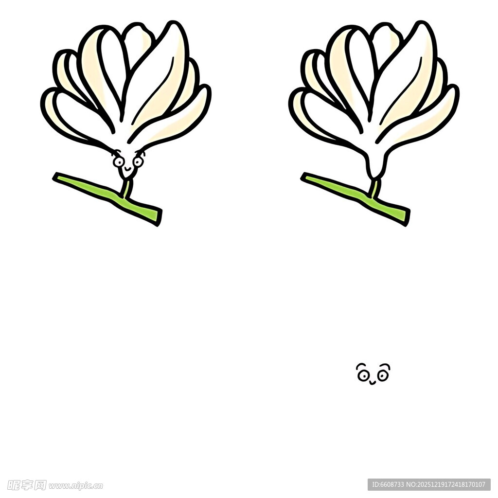 两朵简约线条绘制的玉兰花