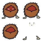 可爱小刺猬的不同形态