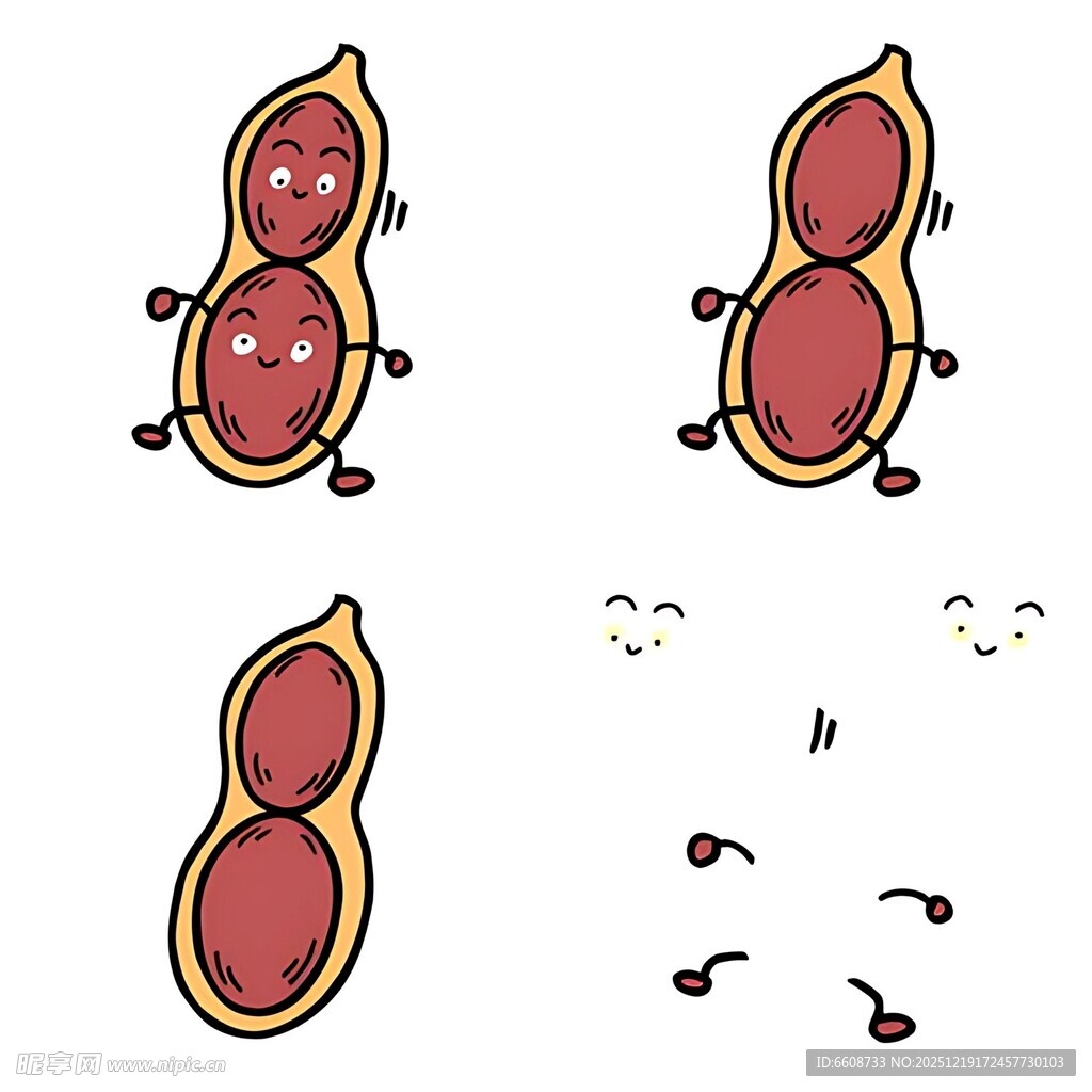 可爱拟人花生的趣味分解