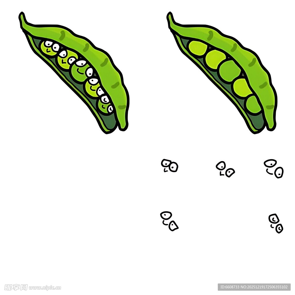 手绘豌豆荚与散落豌豆