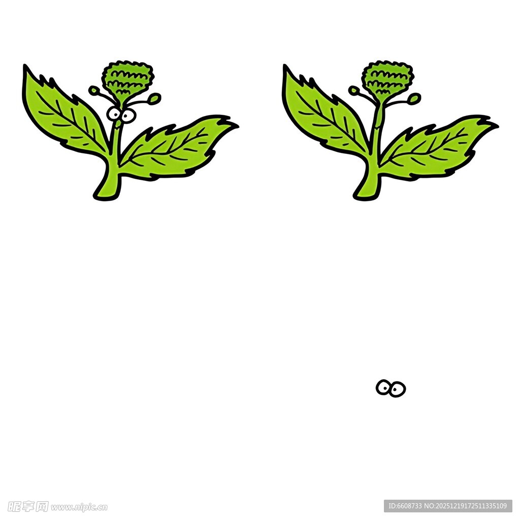 两株简约植物插画