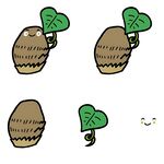 花生发芽过程简笔画