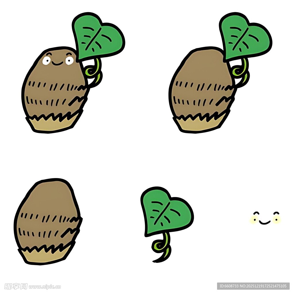 花生发芽过程简笔画