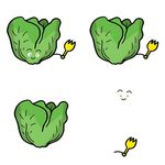 白菜与小花的趣味组合