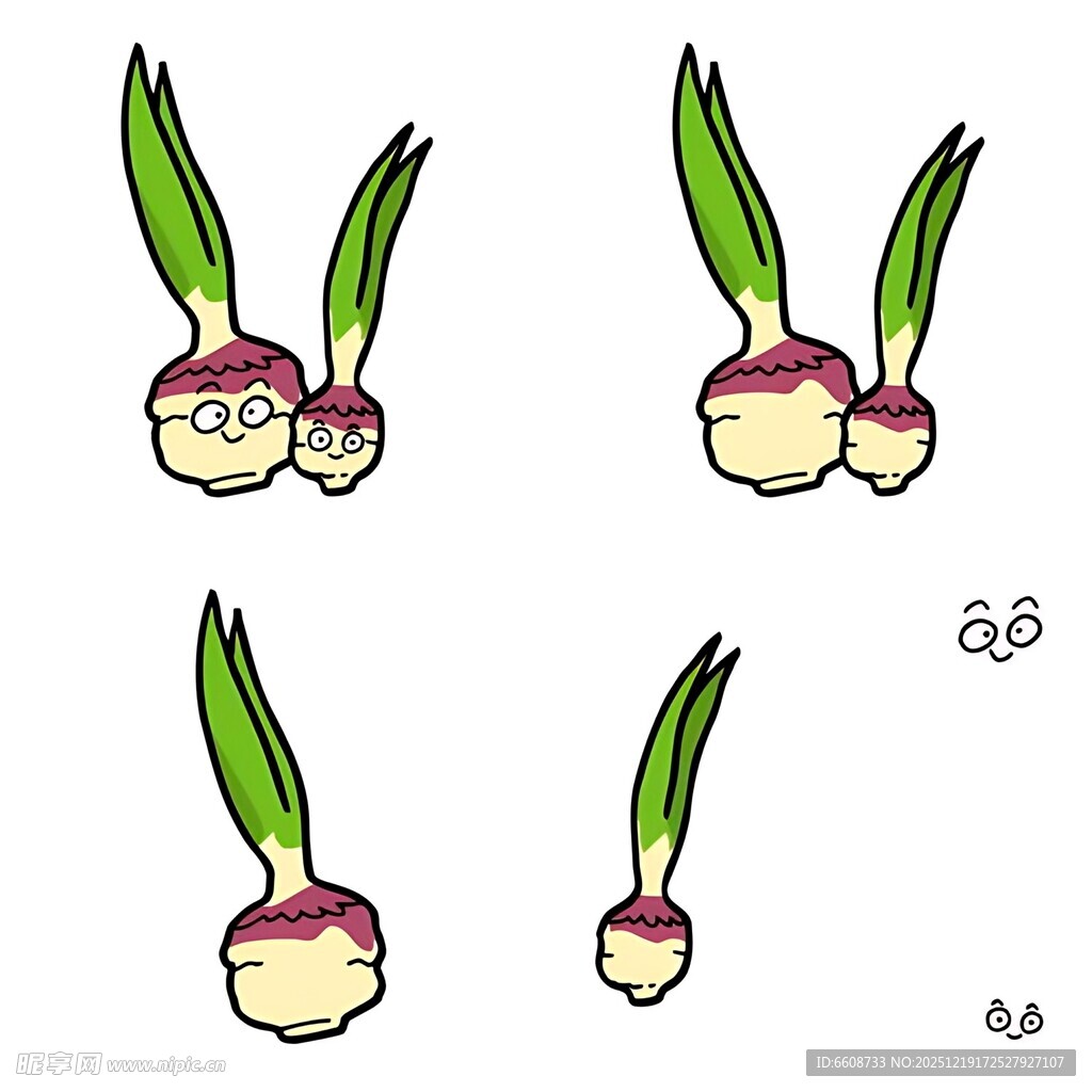 洋葱生长过程图示