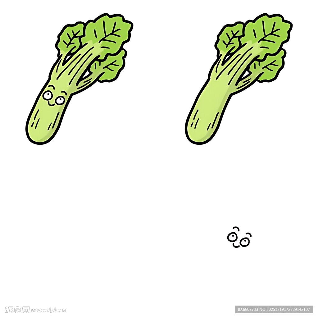 两颗青菜插画