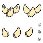 大蒜蒜瓣分解图示