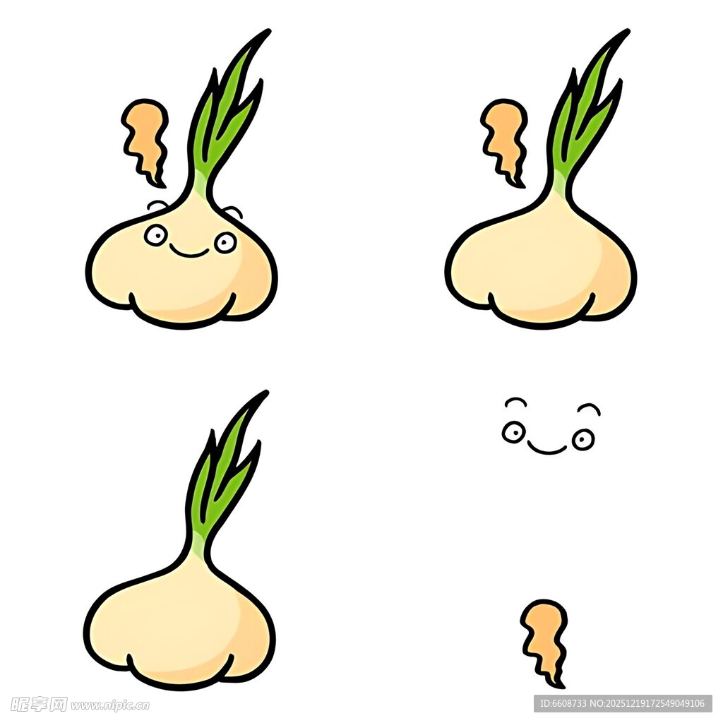 大蒜发芽生长过程图示