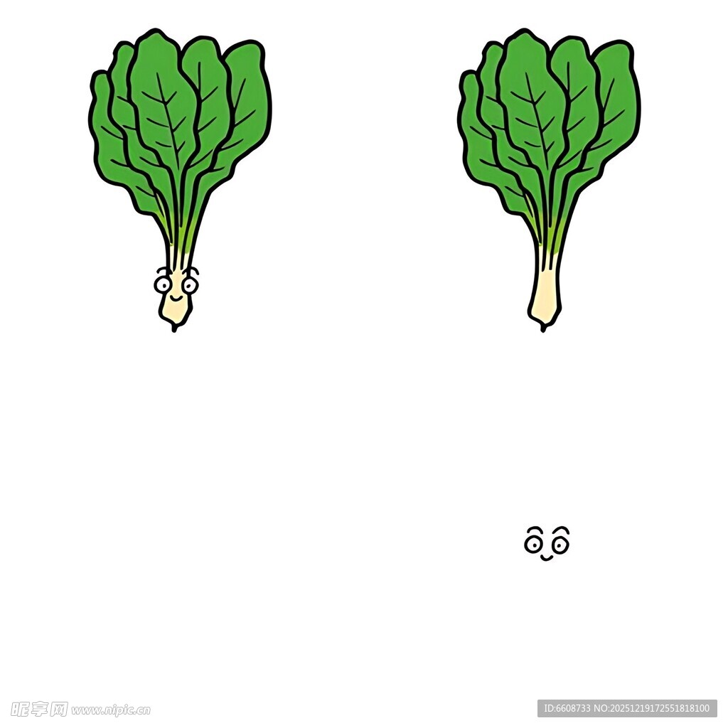 两颗青菜插画