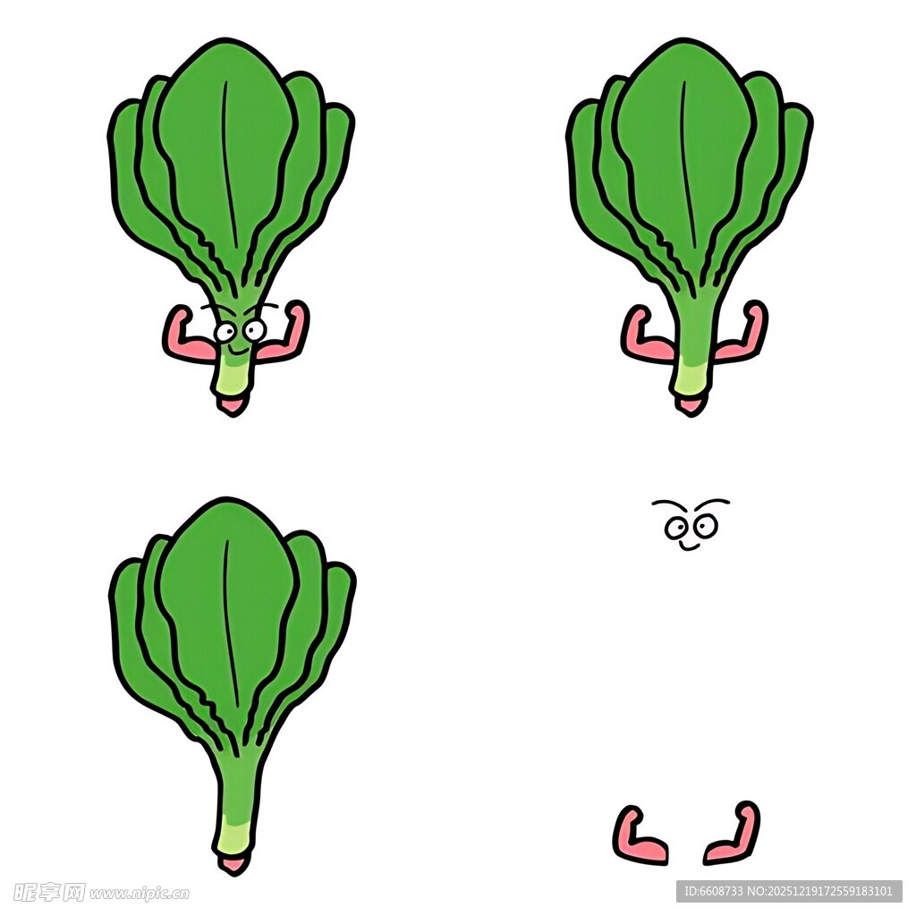 青菜生长过程图示