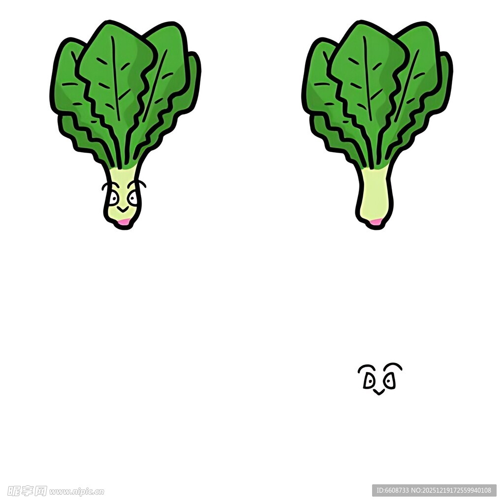 两颗青菜插画