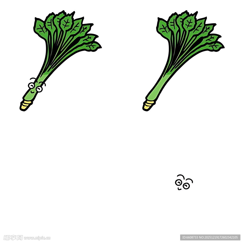 两株手绘芹菜插画