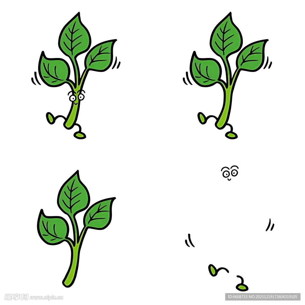 植物生长过程插画