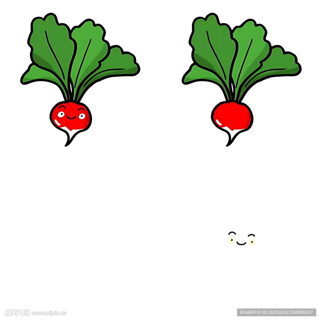 两颗带叶红萝卜插画
