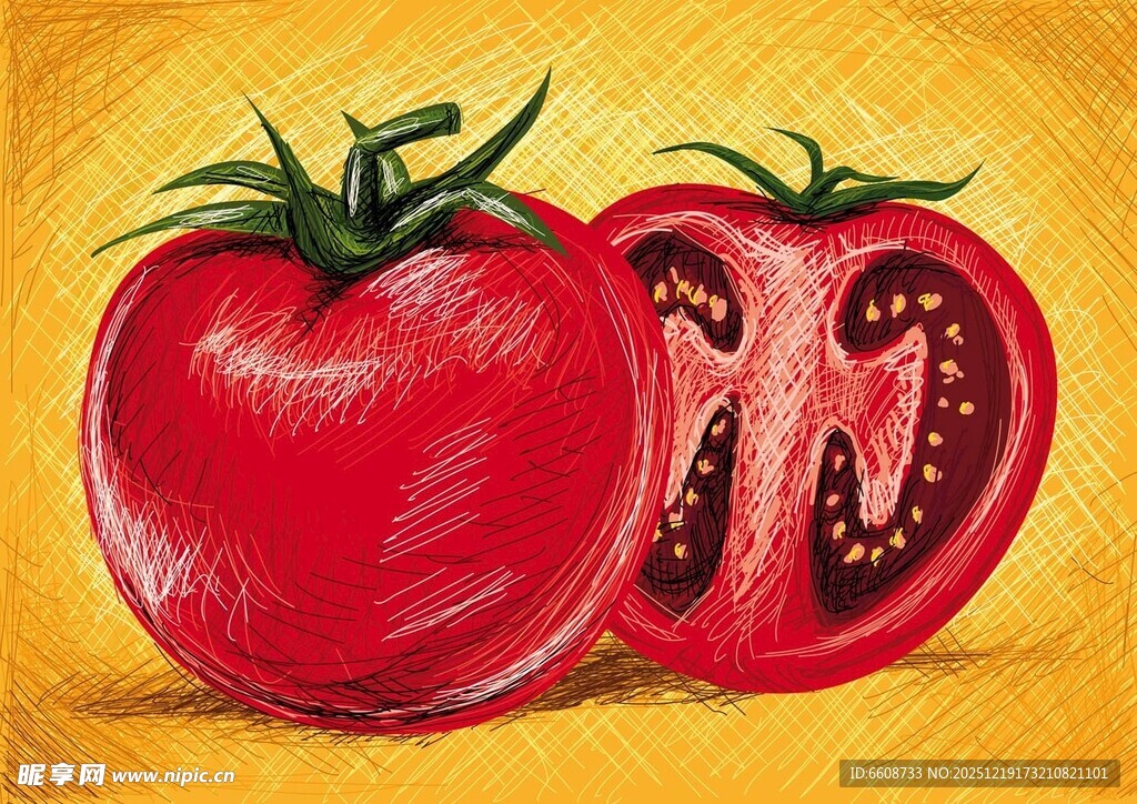 手绘新鲜番茄特写